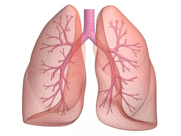 Bolile-respiratorii-300x225 Bolile respiratorii